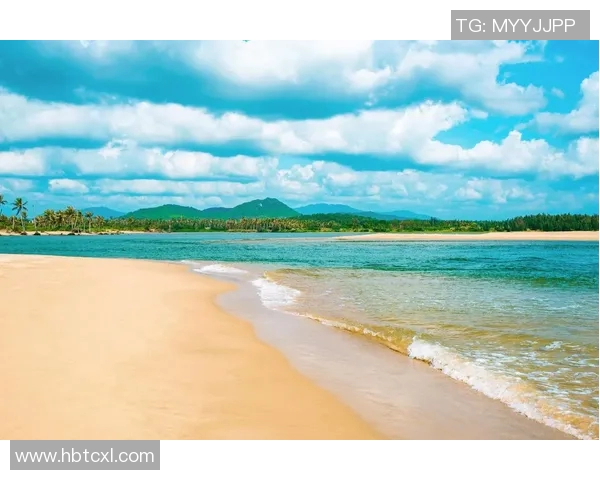 时尚与舒适并存 潜水泳装助力畅享水下世界的极致体验